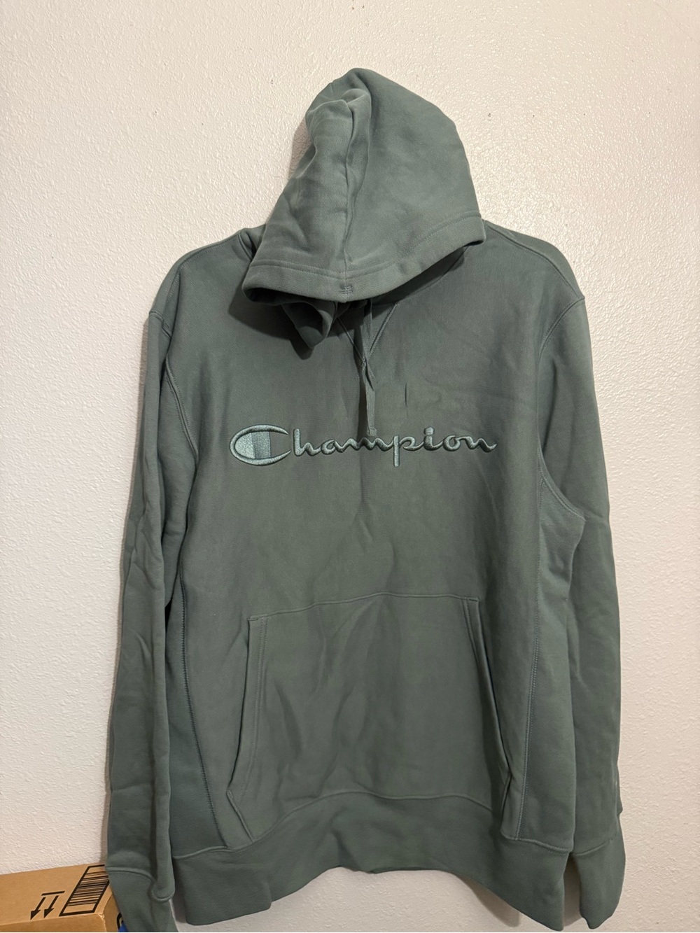 Champion Adult Sizing Iconic Embroidered Hoodie S